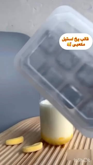 قالب یخ استیل مکعبی ۸عددی